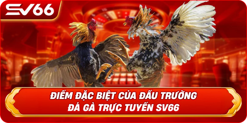 Điểm Đặc Biệt Của Đấu Trường Đá Gà Trực Tuyến SV66