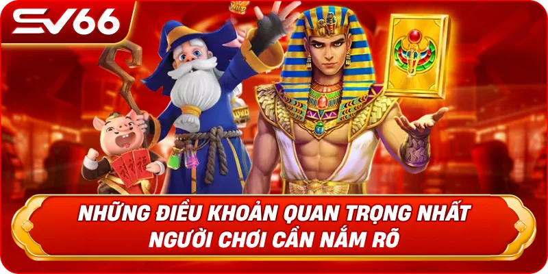 Những Điều Khoản Quan Trọng Nhất Người Chơi Cần Nắm Rõ